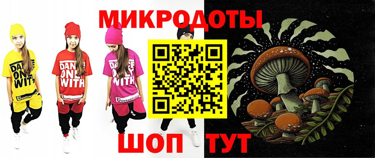 Псилоцибиновые грибы Psilocybe Фрязино